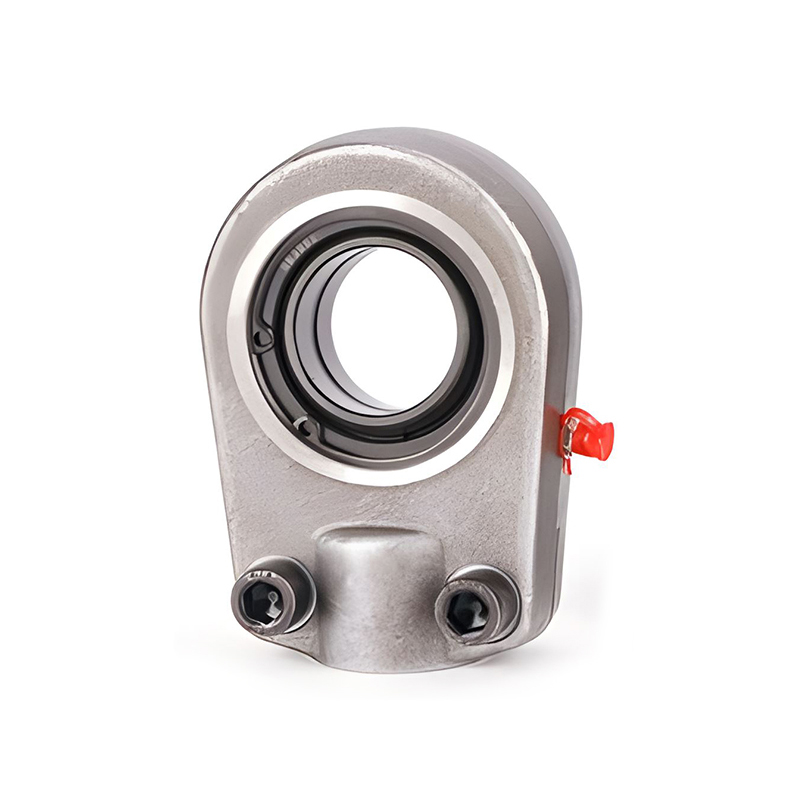 Radial Bearings Cylinder Earring Bearing